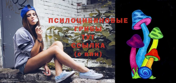 соль ск Богданович