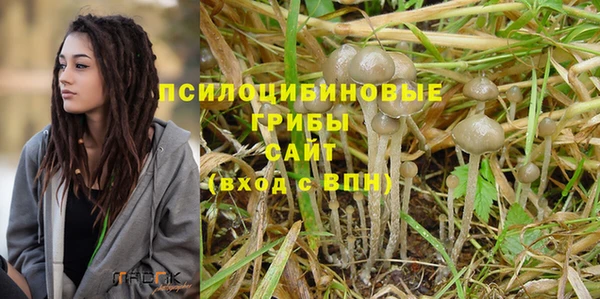 соль ск Богданович