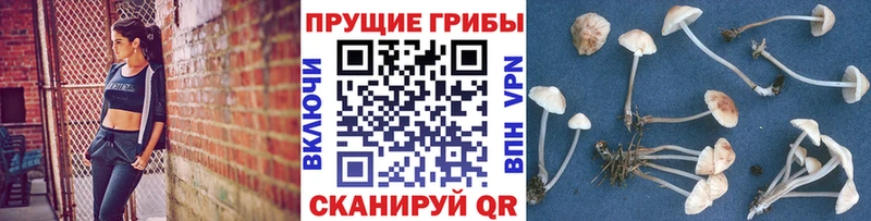 Галлюциногенные грибы MAGIC MUSHROOMS  Купить  Лихославль 